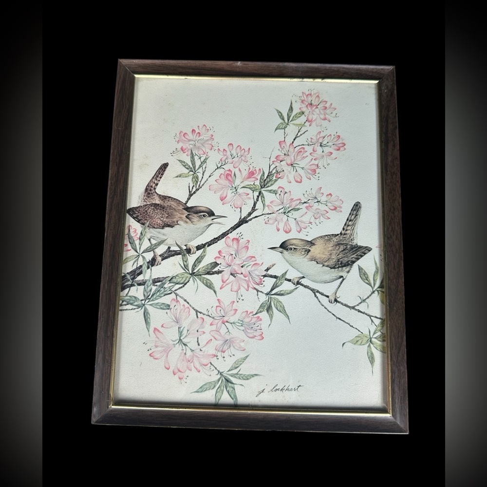 vintage 70s Framed print House Wren by James Lockhart